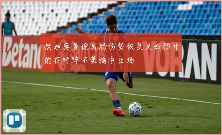 扬迪奥曼德肩膀伤势恢复良好预计能在对阵不莱梅中出场