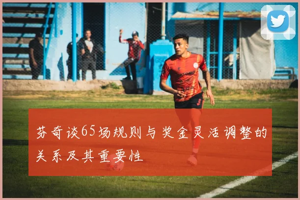 芬奇谈65场规则与奖金灵活调整的关系及其重要性
