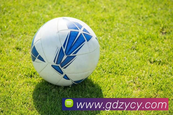 九游9官方入口APP 封面图