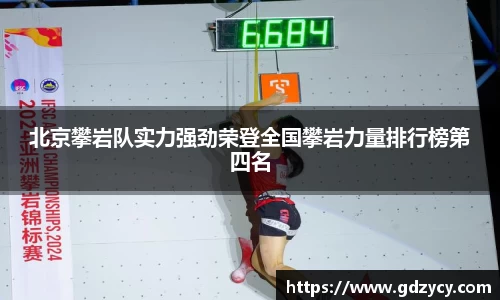 NG体育