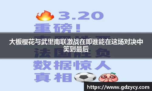 NG南宫体育